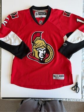 NHL Red and Black Ottawa Senators Hockey Jersey (CCM)